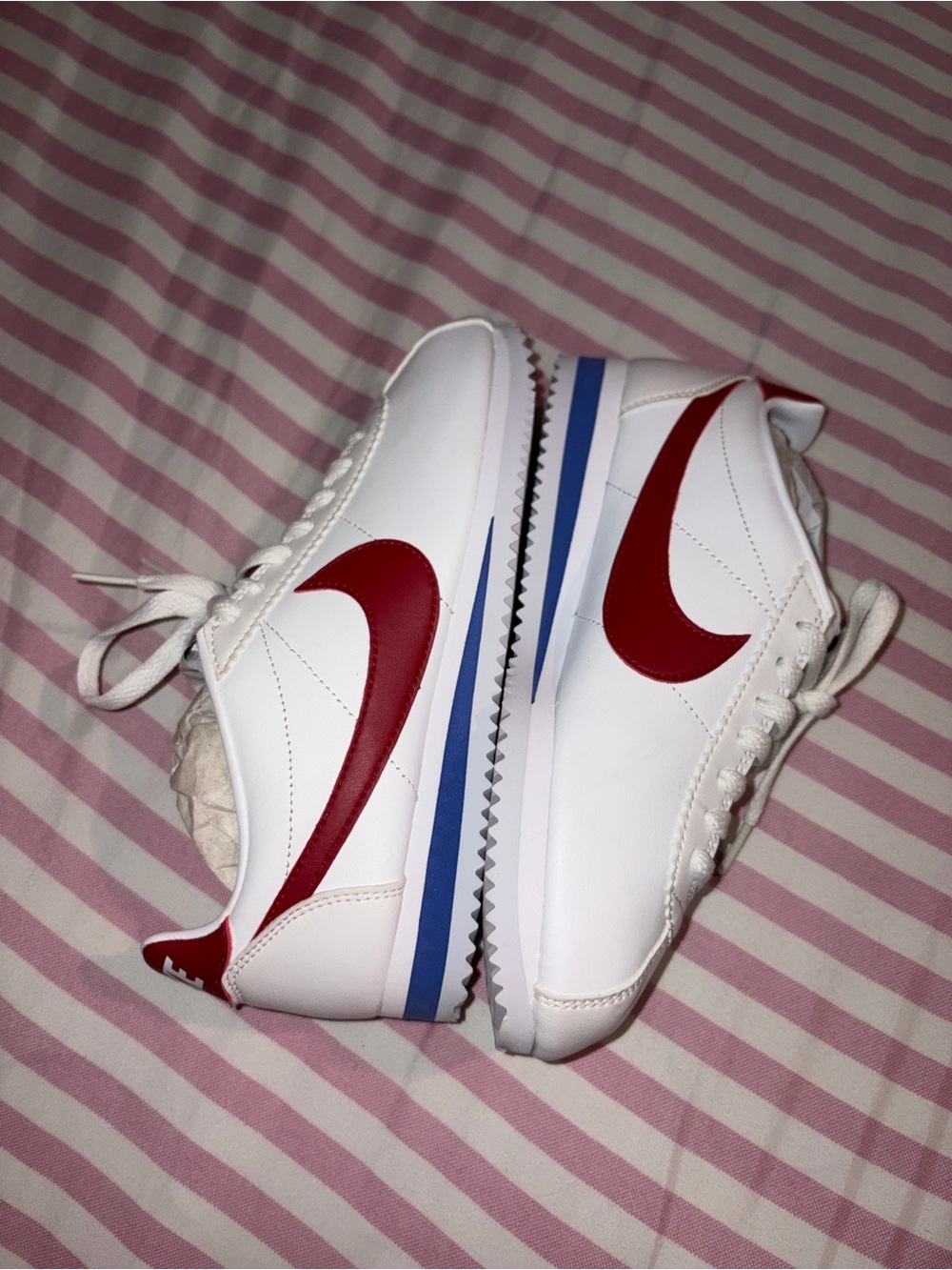 Nike Cortez / Forrest Gump shoes